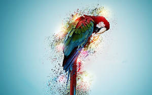 Parrot Bird Psychedelic Art Wallpaper
