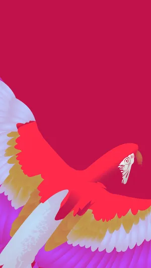 Parrot Illustration Wallpaper