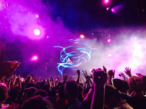 Party With Purple Lights Wallpaper