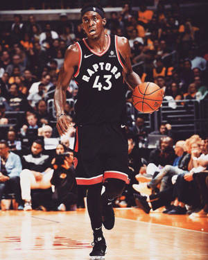 Pascal Siakam On Court No. 43 Wallpaper