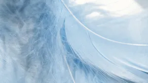 Pastel 4k Feather Wallpaper