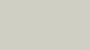 Pastel Grey Solid Color Wallpaper