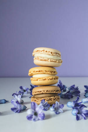 Pastel Iphone Beige Macaroons Wallpaper