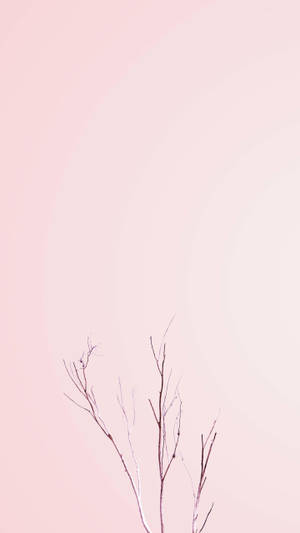 Pastel Iphone Pink Bare Plant Wallpaper