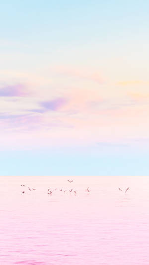 Pastel Iphone Pink Ocean Wallpaper