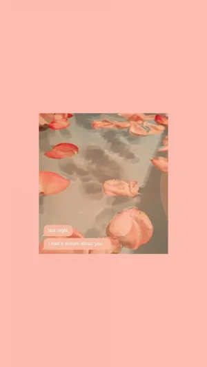 Pastel Peach Water Flower Aesthetic Wallpaper