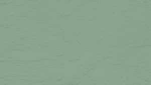 Pastel Solid Green Wallpaper