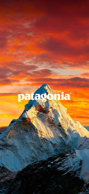 Patagonia Logo Orange Sky Wallpaper