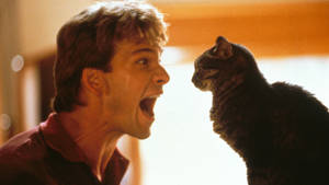 Patrick Swayze Ghost Paramount Cat Wallpaper