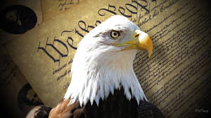 Patriotic Allegiance And Eagle Wallpaper