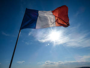 Patriotic France Flag Wallpaper