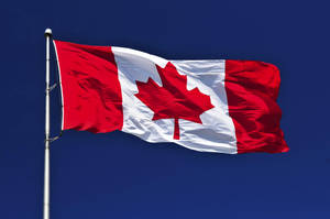 Patriotic Resilience - The Vibrant Flag Of Canada Wallpaper