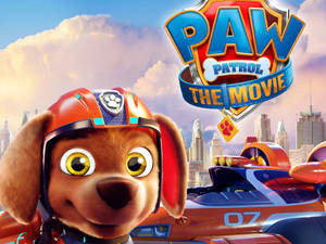 Paw Patrol The Movie Zuma Wallpaper