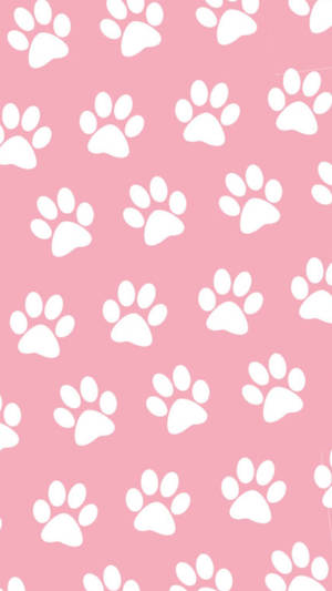 Paw Prints On Pink Wallpaper