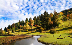 Peaceful Landscape By The River Wallpaper