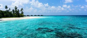 Peaceful Sea Of Solomon Islands Wallpaper