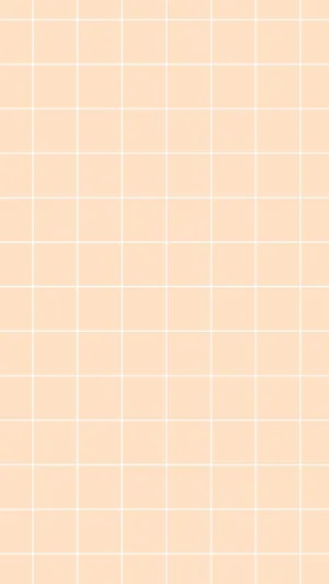 Peach Aesthetic Grid Wallpaper