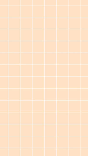 Peach Background White Grid Lines Wallpaper