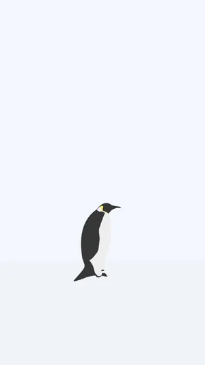 Penguin Animal Vector Art Wallpaper