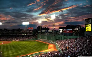 People At Baseball Stadium Wallpaper