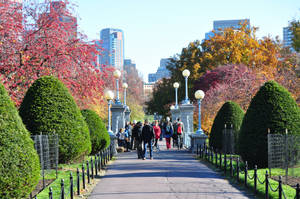 People In Boston Park Wallpaper