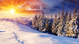 Perfect Winter Wonderland Wallpaper