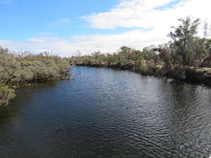 Perth Arthur River Wallpaper