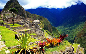 Peru Machupicchu Landscape Wallpaper