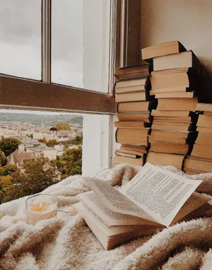 Pfp Aesthetic Reading Nook By Window Wallpaper
