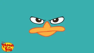 Phineas And Ferb Agent Perry Wallpaper