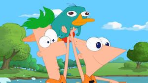 Phineas And Ferb Raising Perry Wallpaper