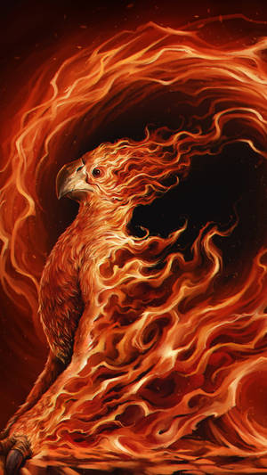 Phoenix Bird Fire Background Wallpaper