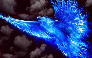 Phoenix Blue Fire Wallpaper