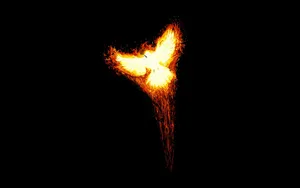 Phoenix Minimalism Black Wallpaper