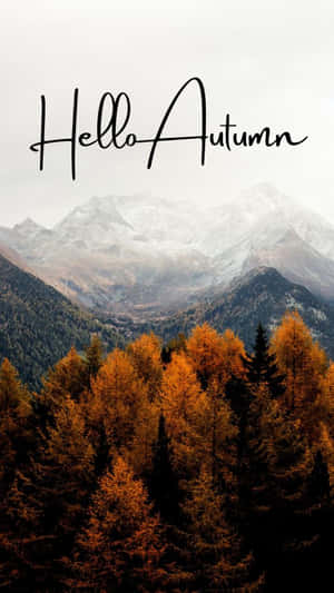 Picture Revel In The Colors Of Autumn Wallpaper