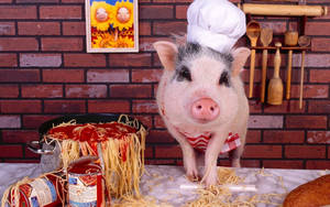 Pig Chef On Table Wallpaper