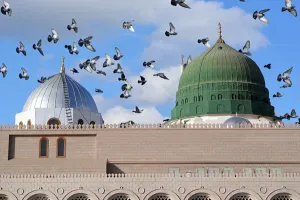 Pigeons Above Green Dome Madina Wallpaper