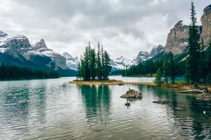 Pine Trees On Lake Wallpaper