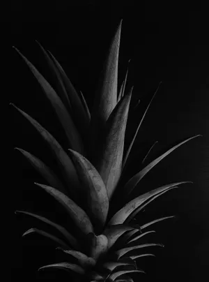 Pineapple Crown In Black Wallpaper