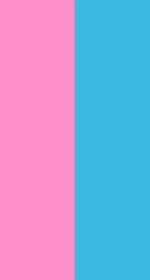 Pink And Blue Grid Wallpaper