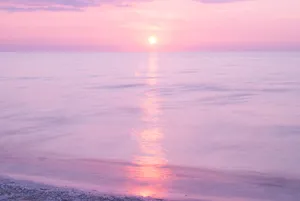 Pink Beach Sunset With Calm Waters Wallpaper