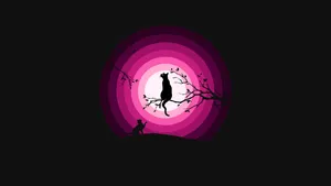 Pink Black Cat Sitting Wallpaper