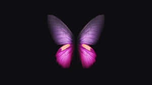 Pink Black Minimalist Butterfly Wallpaper