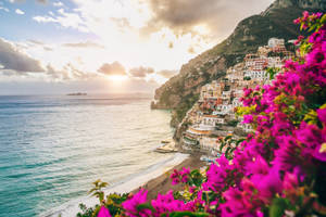 Pink Bougainvillea On Amalfi Coast Wallpaper