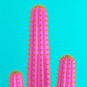 Pink Cactus On Blue Wallpaper