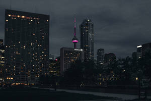 Pink Cn Tower Wallpaper