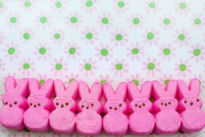 Pink Easter Bunny Peeps Row Wallpaper