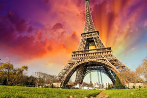 Pink Eiffel Tower Grass Wallpaper