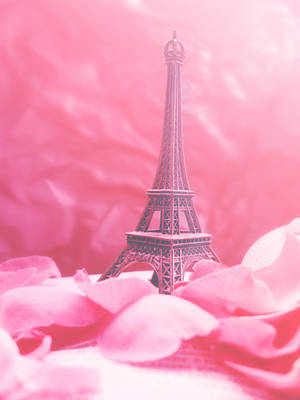 Pink Eiffel Tower Rose Petals Wallpaper
