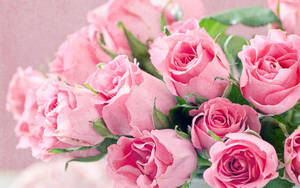 Pink Flower Rose Bouquet Wallpaper